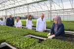 Meram Belediyesinin Konya çiftçisine büyük desteği, Konya Fide’de yeni sezon satışları başladı