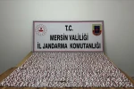 Mersin’de 5 binden fazla sentetik hapla yakalanan şüpheli tutuklandı