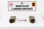 Mersin’de jandarmadan uyuşturucu operasyonu: 2 tutuklama