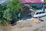 Mersin’de kurbanlıklar kaçtı, bayram neşesi kameralara yansıdı