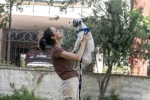 Mersin’de sahiplendirme kampanyasıyla bin 927 köpek yeni yuvasına kavuştu