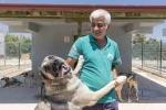 Mersin’de sahipsiz hayvanlar tedavi edilip sıcak yuvalarına kavuşuyor