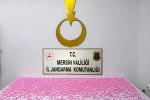 Mersin’de uyuşturucu haplarla yakalanan 2 şüpheli tutuklandı