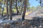 Mesire alanındaki yangın kısa sürede söndürüldü