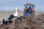 Meteorolojiden zirai don uyarısı 