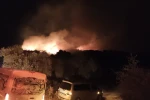 Milas’ta orman yangını