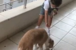 Minik Gökçe’den örnek davranış 