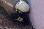 Moloz yığını altında kalan yavru kedi kurtarıldı