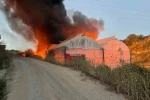 Motosiklet yedek parça deposu olarak kullanılan muz serası alev alev yandı