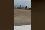 Mudanya sahilinde oltaya takılan martıyı vatandaş kurtardı