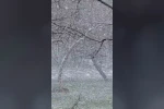 Mudurnu’da lapa lapa kar yağışı etkili oldu