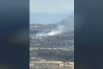 Muğla Menteşe’de orman yangını