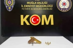 Muğla merkezli silah operasyonu: 10 gözaltı