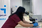 Muğla’da Kadın İstihdamında Artış