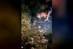 Muğla’da piyasa değeri 4 milyon TL olan uyuşturucu ele geçirildi