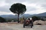 Muğla’da üreticiye doğal ilaç desteği