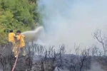 Muğla’da yıldırım kaynaklı 2 orman yangını