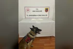 Muradiye’de 2 kilo metamfetamin ele geçirildi