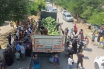 Muş karpuzu 8 mahallede vatandaşlara ücretsiz dağıtıldı