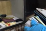 Muş merkezli 5 ilde dolandırıcılık operasyonu: 7 şüpheli yakalandı