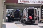 Muş’ta arazi anlaşmazlığı kanlı bitti: 1 ölü, 1 yaralı
