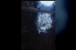 Muş’ta nehir kıyısında su samurları görüntülendi 