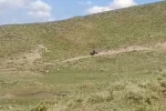 Muş’ta traktör takla attı: 2 yaralı