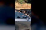 Mustafa Türkay Sonel’in uzun namlulu silahlarla çektiği fotoğraflar ortaya çıktı