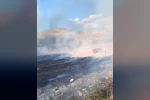 Nallıhan’da otluk alanda çıkan yangın söndürüldü