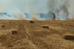 Nallıhan’da tarla yangını