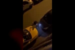 "Namus belası" diyerek ev bastı, defalarca ateş etti