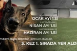 Narkotik köpeği ‘Jardi’ üçüncü kez zirvede 