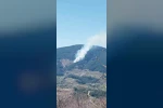 Nazilli’de orman yangını