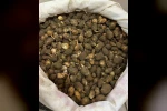 Nesli tehlike altındaki bitkinin yumrularını söken kişiye yarım milyonluk ceza