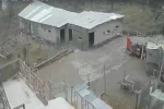 Nevşehir’de fırtına ağıl ve mandırayı vurdu: 12 koyun telef oldu