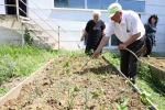 Nilüfer’de yaşlılar fideleri toprakla buluşturdu