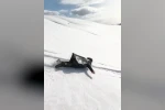 Nisan ayında çöp poşetiyle kaydılar, o anları kayda aldılar