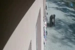 Öğrencisinin boğazına kaçan şekeri heimlich manevrasıyla çıkardı