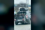 Ölü domuzu aracın arkasında taşıdılar