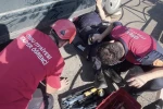 Ordu’da otomobilin egzoz muhafazasına sıkışan yavru kedi kurtarıldı