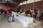 Ordu’da sütün değeri artıyor