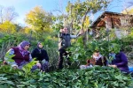 Orman köylüsü ekmeğini topraktan çıkartıyor
