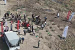 Orman yangınından zarar gören alana fidan ekildi