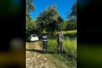 Orman yangınlarıyla mücadele tedbirleri masaya yatırıldı