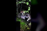 Ormanda yollarını kaybettiler, ekipler kurtardı