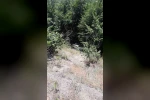 Ormanlık alana uçan otomobildeki 3 kişi yaralandı 