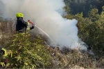 Ormanlık alanda çöp yangını büyümeden söndürüldü