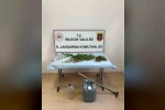 Ormanlık arazide kenevir ekimi yapan şahıs ektikleri sularken yakalandı