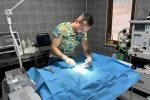 Osmaneli’nde olta iğnesi batmış kedi kurtarıldı