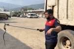 Osmaniye’de kaçak yolcu yılan, üçüncü araçta yakalandı